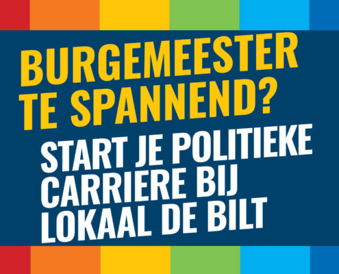 Politieke carrière bij Lokaal De Bilt