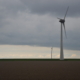 Windmolens in de polder
