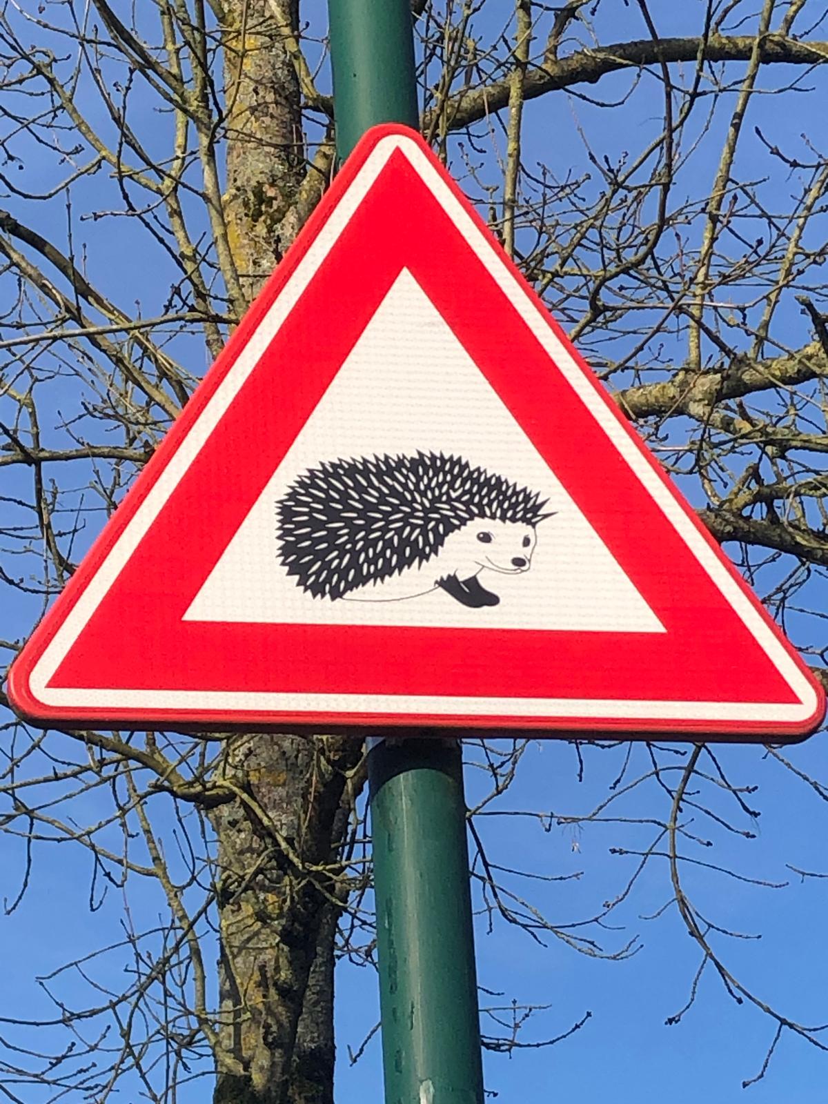 Let op: egels! Let op: egels!